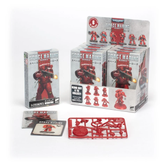 Space Marine Heroes 2023 - Blood Angels Collection Two Full Box